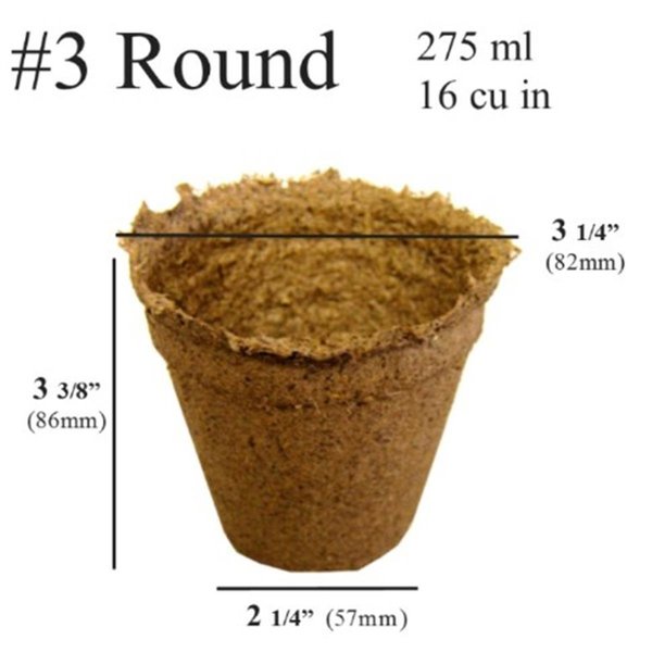 Tento Campait 3 in. Round Pot; 275 ml - 16 Cubic Inch TE258883